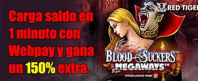Oferta Limitada 13